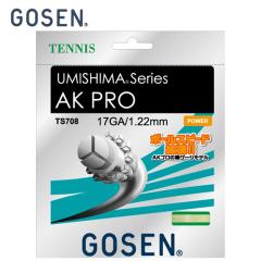 �S�[�Z�� �e�j�X�K�b�g �d�� �P���� ���m�t�B�������g �E�~�V�}AK�v��17 AK PRO 17 TS708 GOSEN