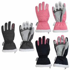 �t�F�j�b�N�X Phenix �X�L�[ �X�m�[�{�[�h �O���[�u �W���j�A GLOVE ESG23GL91
