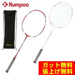 ヨネックス バドミントンラケット YONEX アストロクス100ゲーム AX100G