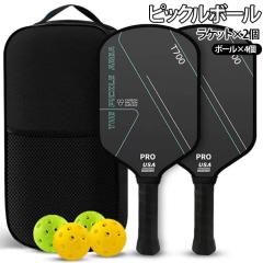PROIRON ダンベル プレート バーベル プレート 10kg 2個セット