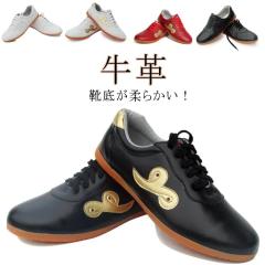 ASICS (アシックス) SNAPDOWN4 (スナップダウン4) レスリングシューズ