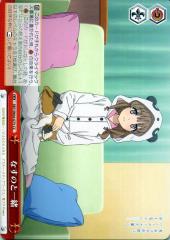 ヴァイスシュヴァルツ 青春ブタ野郎はバニーガール先輩の夢を見ない