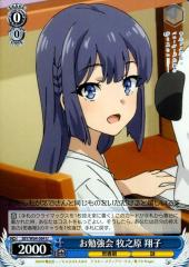 ヴァイスシュヴァルツ 青春ブタ野郎はバニーガール先輩の夢を見ない お