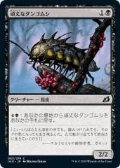 MTGマジックザギャザリングコモン黒 Amazon.co.jp: マジックザギャザリング MTG 黒 日本語版