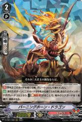 ヴァンガード フューチャーカード バディファイト 相棒学園 黒岳