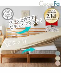 �V�[�c ��100�� �^�I�� �n�̂т̂� �}�b�g���X �~ �z�c ���p Coco.Fa �t�@�~���[�T�C�Y �O���C�b�V���u���[/�_���s���N/���e�x�[�W�� 3�l