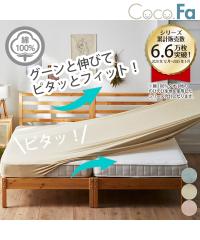 �V�[�c ��100�� �^�I�� �n�̂т̂� �}�b�g���X �~ �z�c ���p Coco.Fa �t�@�~���[�T�C�Y �O���C�b�V���u���[/�_���s���N/���e�x�[�W�� 4�l