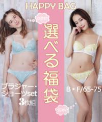 ブラジャー ショーツ セット レディース テイストが選べる福袋 デザイン セット3枚組 キュート/セクシー E65/M～F75/L ブラショーツ 女性