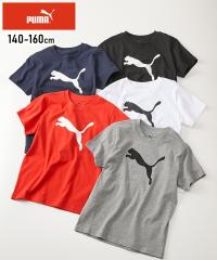 v[} X|[cEFA gbvX LbY LbgS vg  TVc j̎q ̎q  g[jO tBbglX g140/150/