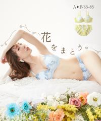 uW[ V[c Zbg fB[X pXe}eBbNu[P 傫TCY uV[c  Ci[ pc | E85_LL/F85_L