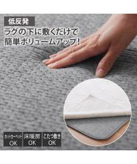 ���O �J�[�y�b�g �O�~ �ᔽ���A���_�[���O�b�I�ׂ�10mm20mm �E���^������ ������� | ��170�~225cm 10mm | �j�b�Z�� nissen