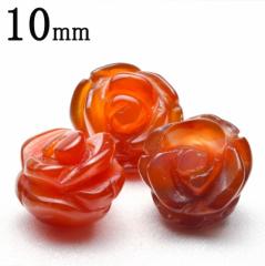 �J�[�l���A�� �K�N�J�b�g�@10mm�@������_T400-10