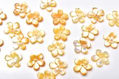 �C�G���[�V�F���@���@10x1.5mm�@3���Z�b�g ������ �o������_T464