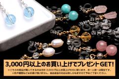 �y3000�~�ȏ�̂������グ�Ńv���[���g�I�z1�~�V�R�΃f�U�C���C�������O�@�y����l�l1�_����z_X507