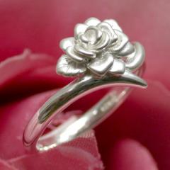 ���[�Y�V���o�[�����O 7�`13�� /�V���o�[�A�N�Z/�V���o�[�A�N�Z�T���[/�w��