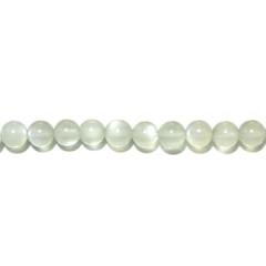 yO[[Xg[z 6mmʁEۃr[Y 5ʃZbg /Ԕ  VR p[Xg[ ΂甄 