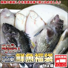 鮮魚を急速冷凍!北海道お魚福袋5kg 送料無料 ※沖縄は送料別途加算