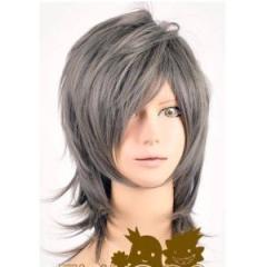 DW497 緋色の欠片★狗谷遼 風 コスプレウィッグ +ウイッグネット