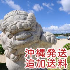 ���ꌧ�ւ̑����`�P�b�g
