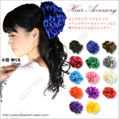 BIGTCY wA Nbv Tet fB[X wA ANZT[yNbv  wA[ ANZT[ ob^ sǂ Nb