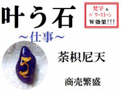 �����΁������ɐ���䶞k��V���A���W�X�g���d�������^�������������΁��������p���[�X�g�[�����아(�아)