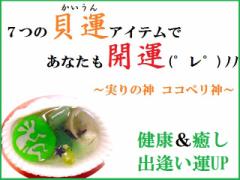 ���N�E�����E�o�������v�����ʁ��R�R�y���L�^���A�x���`���������C���J�N���X�^�����p���[�X�g�[�����아(�아)