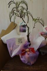 ~́@RP񂹐A@My@@Be@416