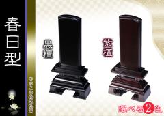 ���� �ʔv�����؈ʔv 5�� �t�� ���C ���h�� ���h�� �� ����������