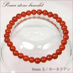 y[֑Ήzp[Xg[ J[lA 6mmʃuXbgygʐ VR 6~z p[Xg[