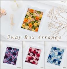 �v���U�[�u�h�t�����[�@3way�{�b�N�X ���� �{�b�N�X�A�����W ��̓�/�M�t�g �v���U���g/���킢��