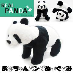 赤ちゃんパンダぬいぐるみ (REAL PANDA,リアルパンダ,あかちゃんパンダ