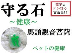 ���΁��y�b�g�̌��N���n���ω���F�����N�������������΁��������p���[�X�g�[�����아(�아)