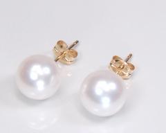 18���a��{�^��s�A�X/��7.0�~���A�b�v6���a���ΐ^��z