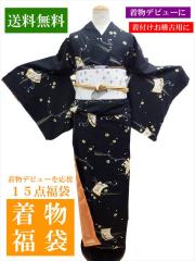 ���������������@�������� ���� 50�Z�b�g �̔� �������S�҂ɂ����S ���䒅�� 15�_�t���Z�b�g