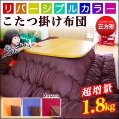 { ʁI |zc ` ӂ_炩 o[Vuyۉ͔QzhJr R hL R^c