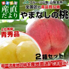 送料無料 岡山県産 桃 もも 岡山の白桃 青秀 モモ はくとう 5〜9玉 父の日ギフト 白桃 約1.3kg