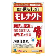 �y��2�ވ��i�z �����i�N�g 120�� - ���ѐ��� [�����n����/�n�`�~�W�I�E�K��]