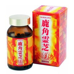 ���p��� 300�� - �X�쌒�N�� 