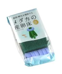 _J̎Y 6Zbg (100~Vbv 100~ψ 100ψ 100)