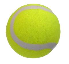 �e�j�X�{�[�� ���a6.3cm (100�~�V���b�v 100�~�ψ� 100�ψ� 100��)