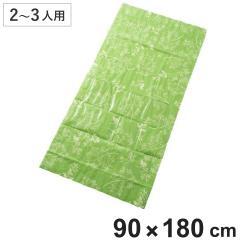 ���W���[�V�[�g Hide��Seek L�T�C�Y 2�`3�l�p �i ���W���[�}�b�g �V�[�g �}�b�g ���� �唻 �傫�� ������� 90�~180 �V���v�� �R���p�N�g