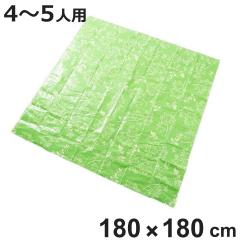 ���W���[�V�[�g Hide��Seek LL�T�C�Y 4�`5�l�p �i ���W���[�}�b�g �V�[�g �}�b�g ���� �唻 �傫�� ������� 180�~180 �V���v�� �R���p�N