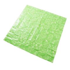 ���W���[�V�[�g Hide��Seek LL�T�C�Y 4�`5�l�p �i ���W���[�}�b�g �V�[�g �}�b�g ���� �唻 �傫�� ������� 180�~180 �V���v�� �R���p�N