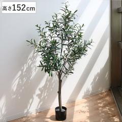 �l�H�ϗt�A�� �I���[�u 152cm �t�F�C�N�O���[�� ���� �i �ϗt�A�� �t�F�C�N �l�H�A�� �A�[�g�O���[�� �� �O���[�� ���� �����b�N�X �A�� 