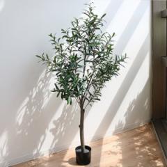 人工観葉植物 オリーブ 152cm フェイクグリーン 造花 （ 観葉植物 フェイク 人工植物 アートグリーン 緑 グリーン 癒し リラックス 植木 