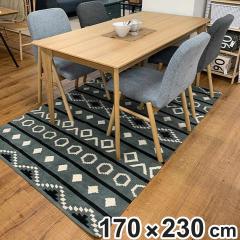 ���O �􉽊w�͗l ���O�}�b�g 170�~230cm �i ���O�}�b�g �J�[�y�b�g �O�~ �}�b�g �R�b�g��100�� ���ɗD���� �q�ǂ� ���N��� �V�R�f�� �z