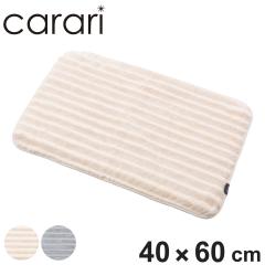 �o�X�}�b�g �J�����|�R �X�g���C�v 40�~60cm M�T�C�Y �i �����C�}�b�g �}�b�g ���@���}�b�g �z�� ���� �􂦂� ���n �V���v�� �����}�b�g 