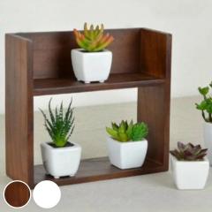 ���b�N ��24cm 2�i �V�R�� �ؖڒ� �������[ �f�B�X�v���C ������ �`�F���[�E�b�h �i �ؐ� �f�B�X�v���C���b�N ���[�I �I ���[���b�N �L�b