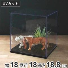�R���N�V�����P�[�X ���M�����[ ��18cm ��� �N���A�P�[�X �N���A ���� ���[ �i �R���N�V���� �P�[�X �v���X�`�b�N �t�B�M���A �f�B�X�v