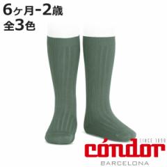 C condor qp Rib High Socks 6`2 i Rh qpC xr[ LbY \bNX  u\bNX v qǂpC